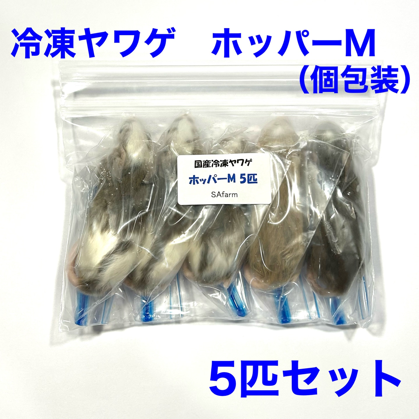 冷凍ヤワゲ ホッパーM 5匹 国産 SAfarm | 冷凍ヤワゲ | SAfarm 国産