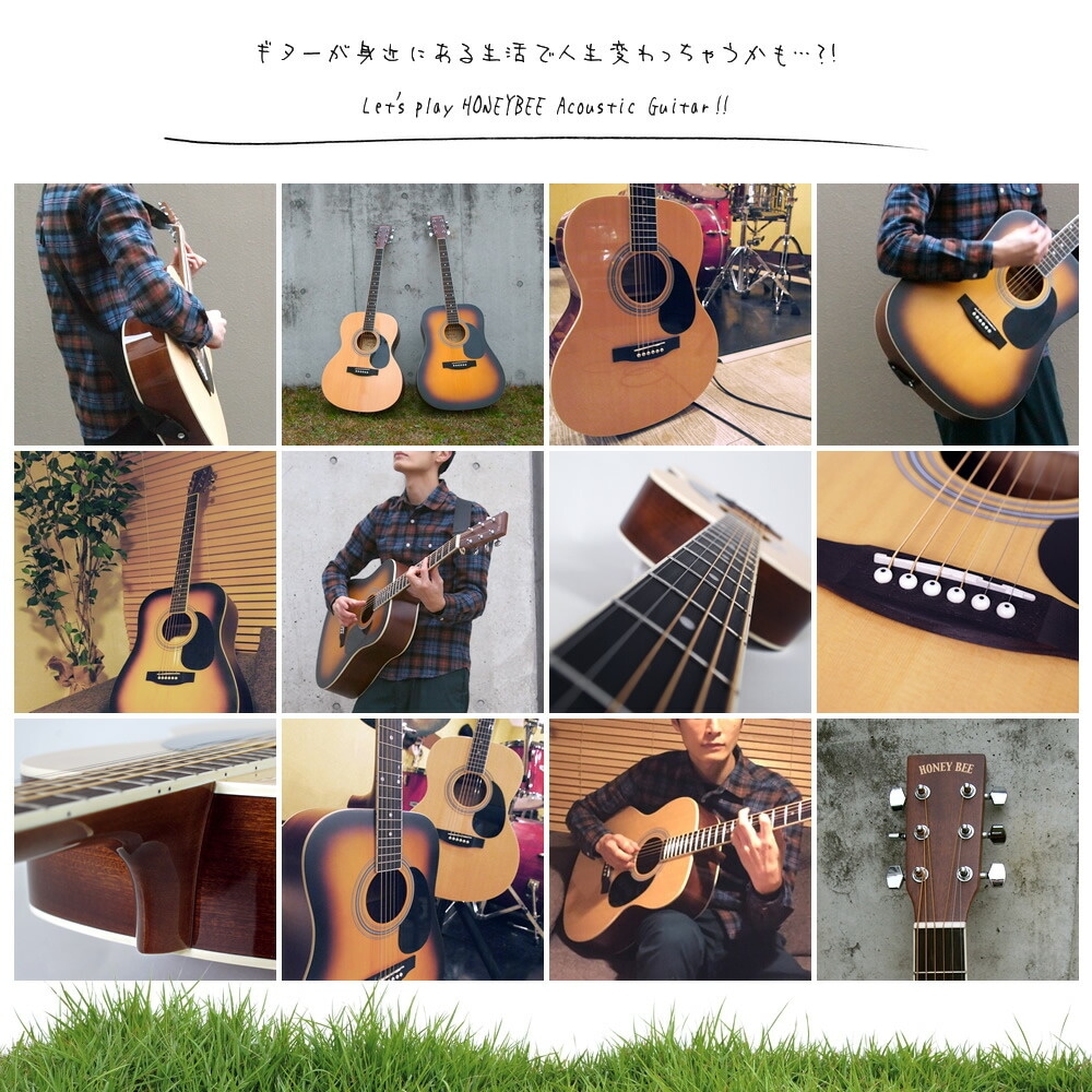 アコースティックギター HONEY BEE W-15/F-15/HJ-18 （本体のみ