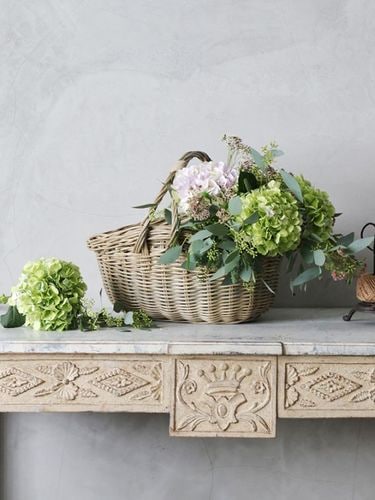 割引継続商品(ポイント修正用)｜青山表参道の人気インテリアショップ