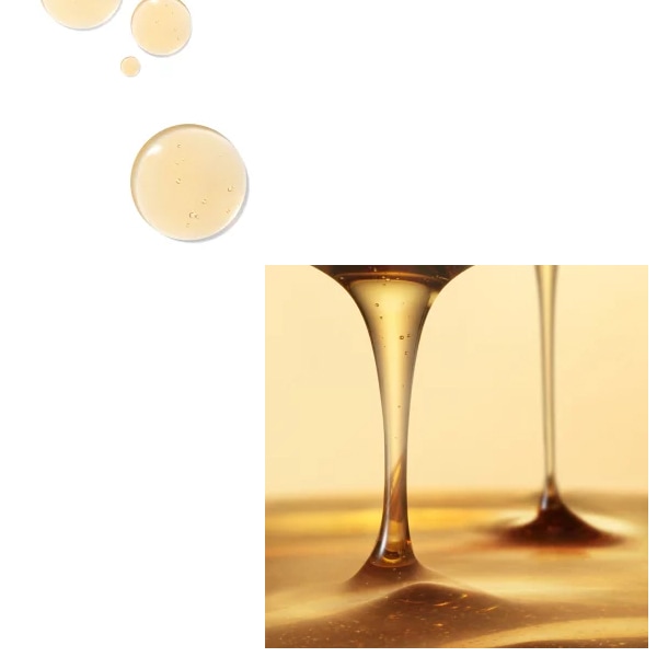 雪花秀/ソルファス]ユンジョ エッセンス 第6世代 90ml お歳暮 韓国