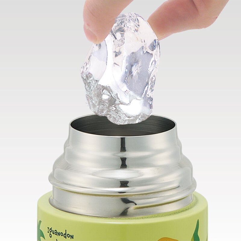 超軽量ワンプッシュステンボトル 360ml ディノサウルス ピクチャ