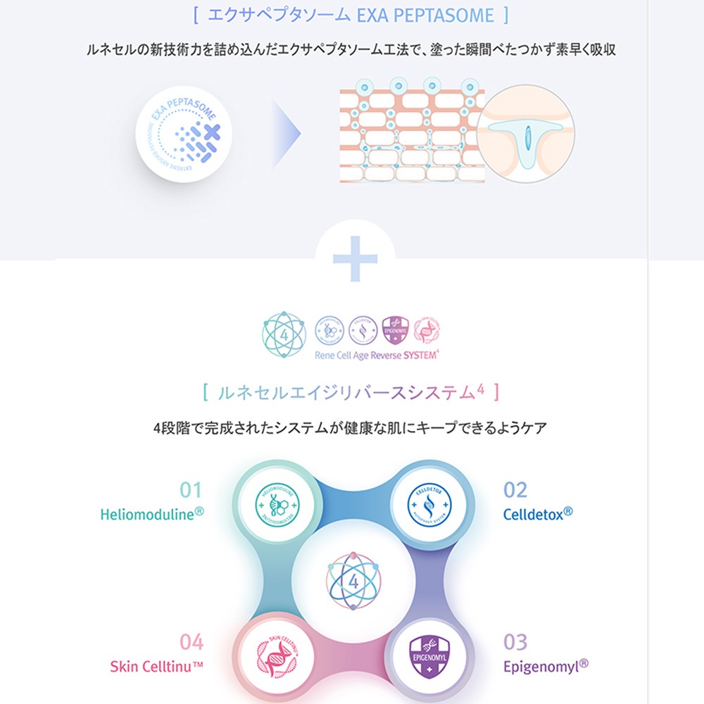 Rene-Cell Hicro Q Premium Cream | ルネセル ハイクロキュー