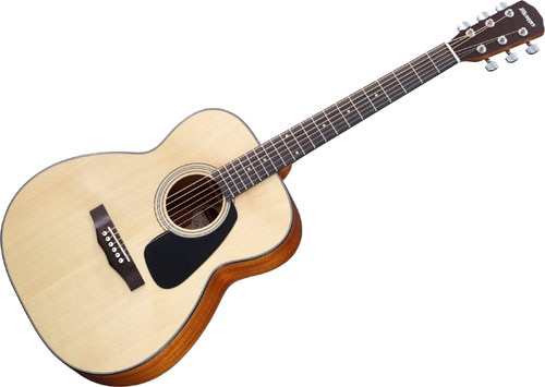 Morris モーリス アコースティックギター F-251 NAT アコギ エントリー