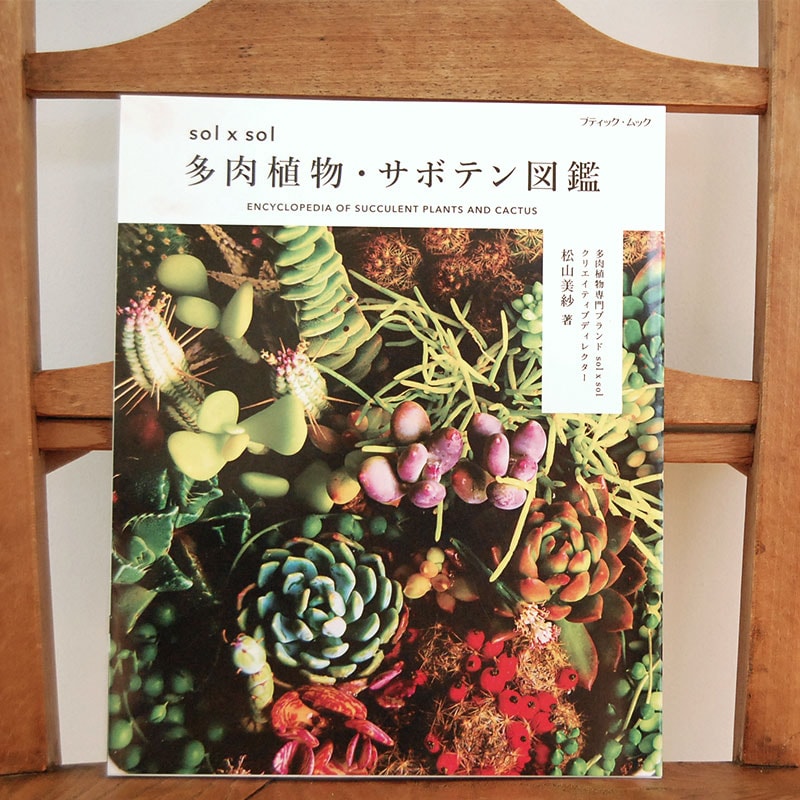 書籍 solxsol 多肉植物・サボテン図鑑 | 多肉植物の専門店 solxsol