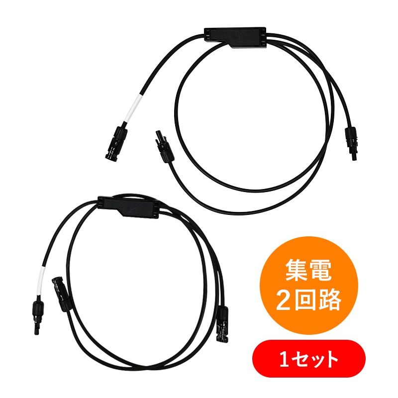 5_000000000653.jpg?1706496806