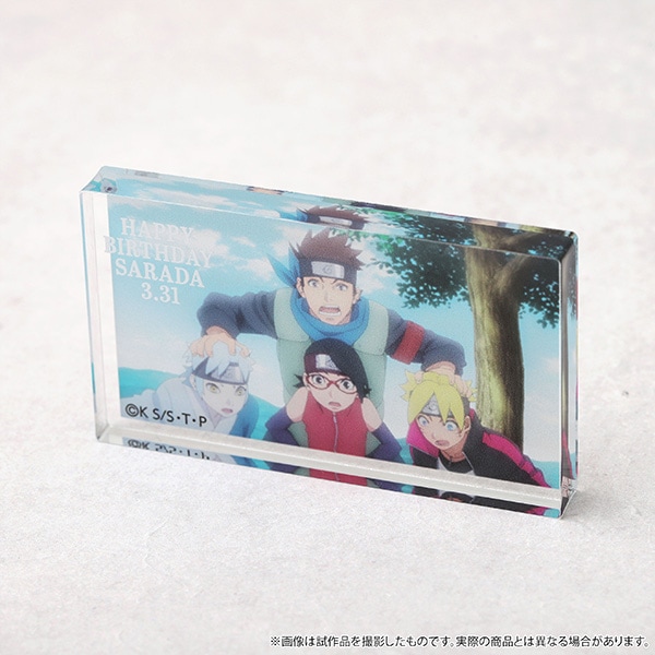 BORUTO-ボルト- NARUTO NEXT GENERATIONS アクリルブロック SARADA2024