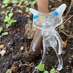 フォーチュンワンダフレンド / FWF