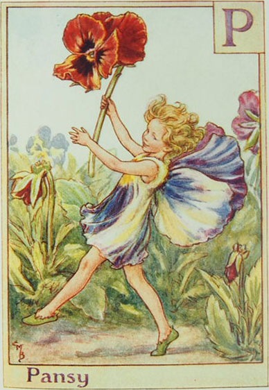 シシリー・メアリー・バーカー 挿画本「花の妖精・アルファベット