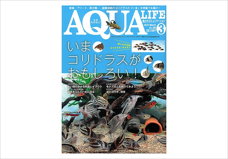 アクアライフ2026年3月号 | 器材,書籍 | AQUA-F東京店通販ショップ