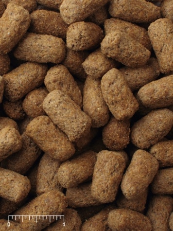 送料無料】 Mazuri リクガメ トータス ダイエット 150g 陸ガメ