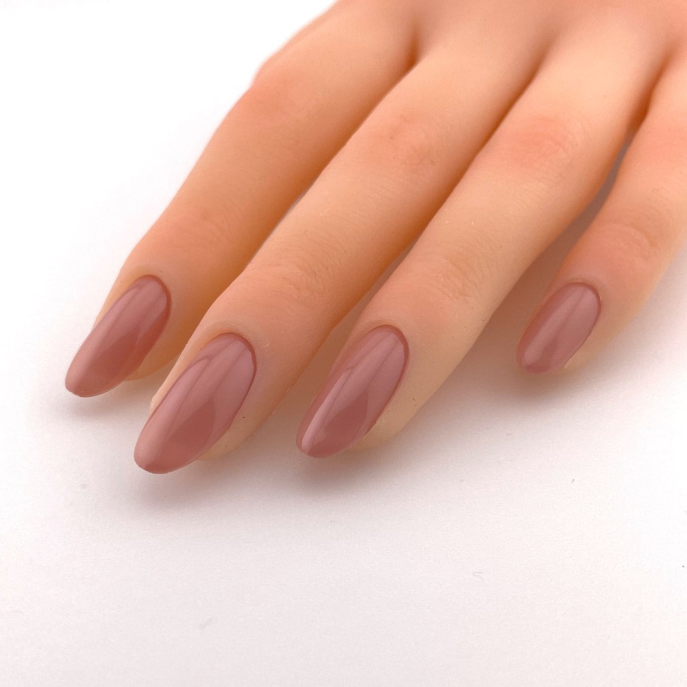 LC05 ロイヤルミルクティー 25g | すべての商品 | | para gel