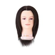 国家試験ウィッグの通販｜美セラ