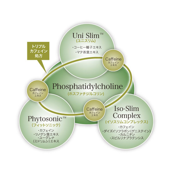 メソフォース クリーム 業務用 650g 痩身マッサージ用の通販｜美セラ