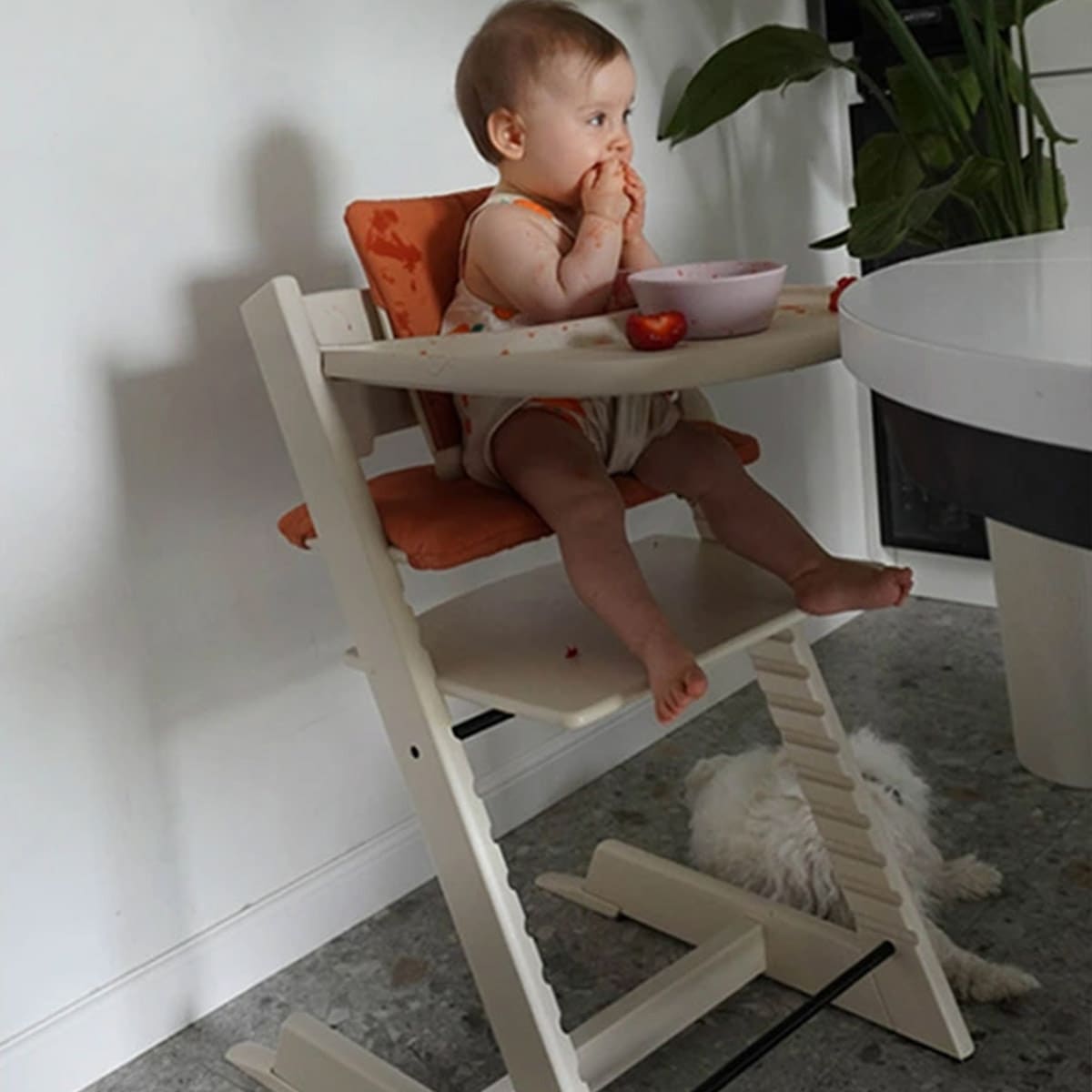 STOKKE ストッケ 【セット】 トリップトラップ + ベビーセット2