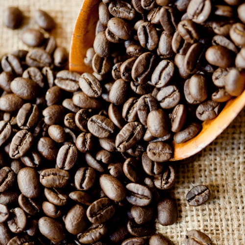 送料無料】 初回限定 お試しセット｜コーヒー豆通販のカフェテナンゴ