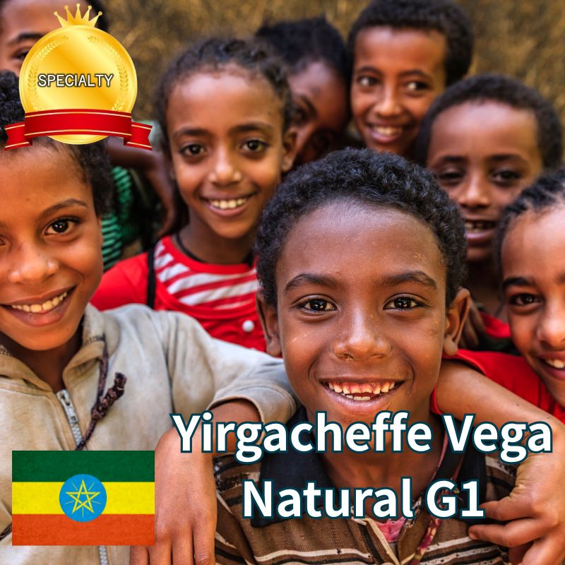 Yirgacheffe Vega(ﾍﾞｶﾞ) G1 Natural（24/25) 30㎏麻袋 | アフリカ
