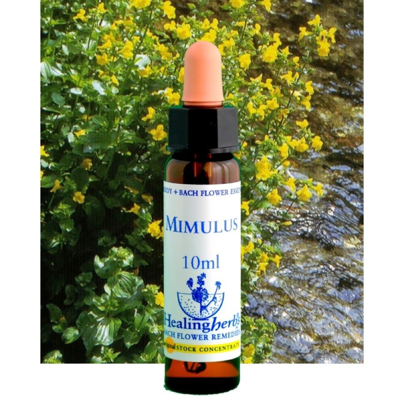 フラワーエッセンス 02 ミムラス [ヒーリングハーブス] | カリス成城