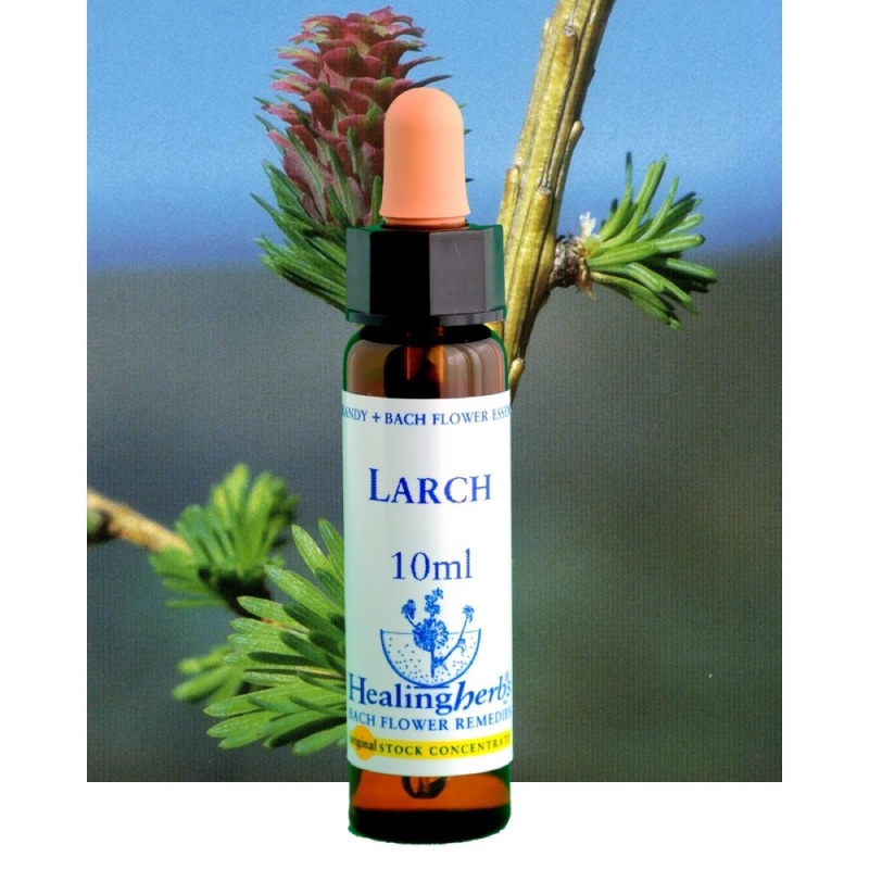 フラワーエッセンス 26 ラーチ [ヒーリングハーブス] | カリス成城 WEB
