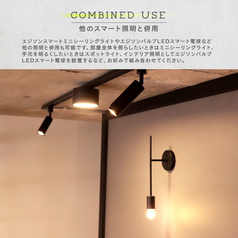 エジソンスマート ミニスポットライト ホワイト ダクトレール用 RST