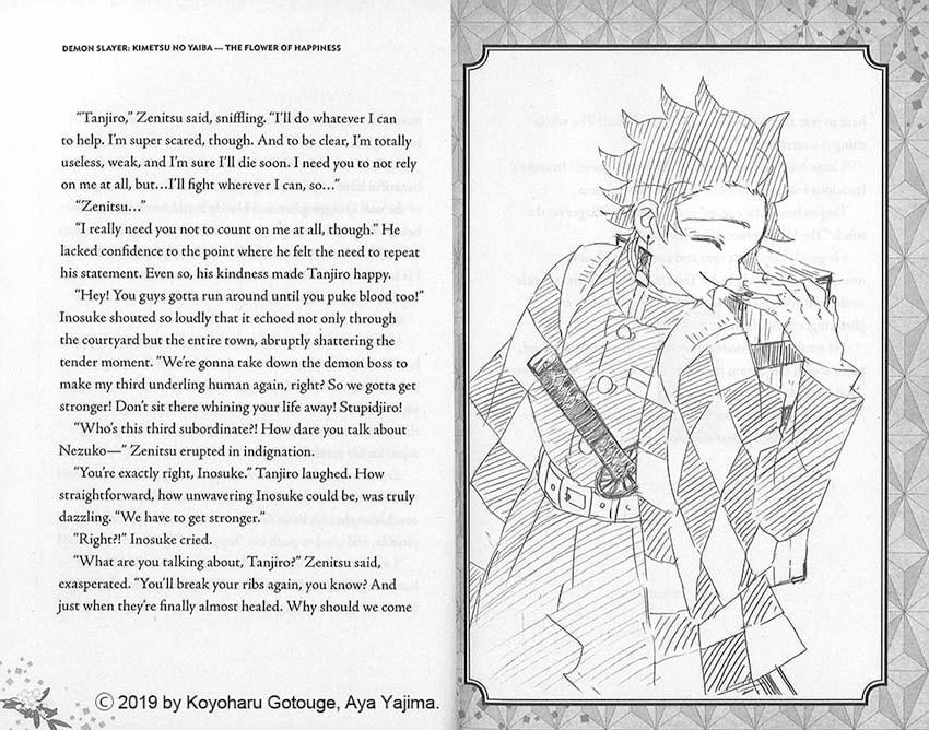 Demon Slayer (鬼滅の刃英語版）ノベライズセット 全3巻 | カテゴリー