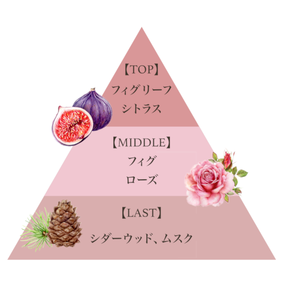 オードパルファム50ml（フィグヴェール）/Eau de Parfum 50ml (FIG