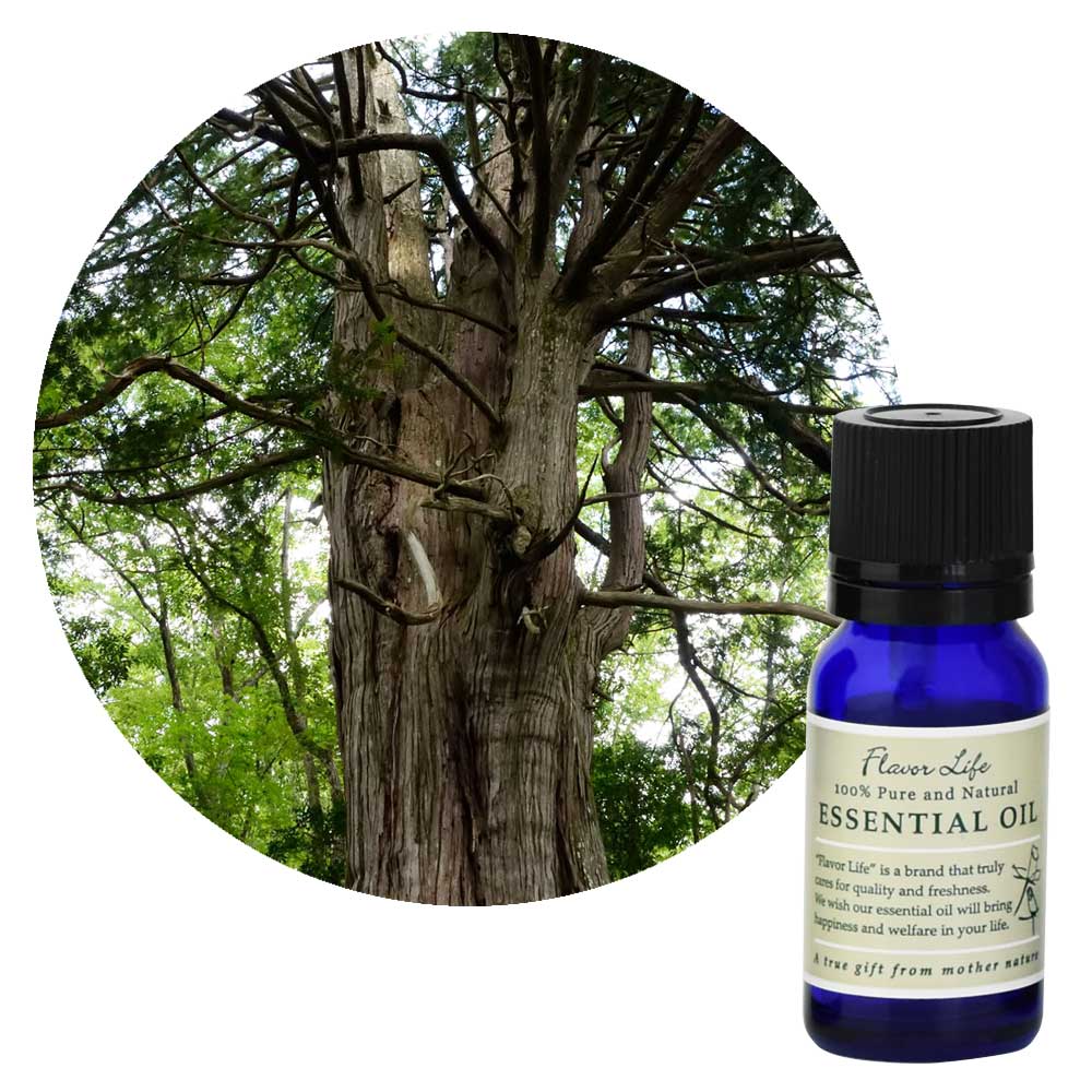 和精油】ひのき｜エッセンシャルオイル（精油・アロマオイル）の通販