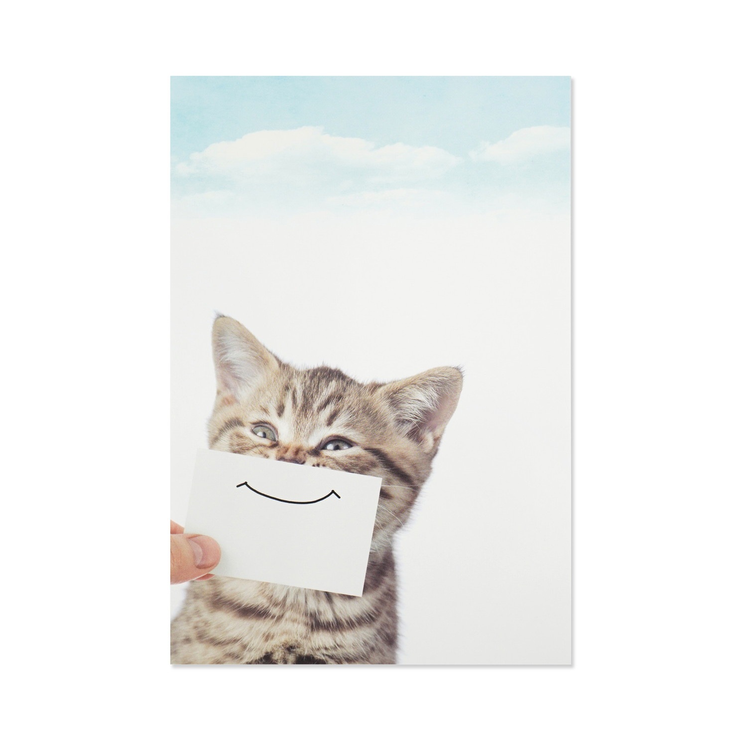 ポストカード スマイルネコ｜pcr-139 | 新商品,2026春・新緑,ポスト