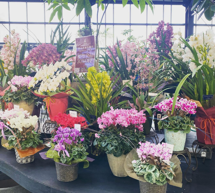 石川県の人気園芸店15選！】おすすめの大型ガーデニング用品店舗一覧