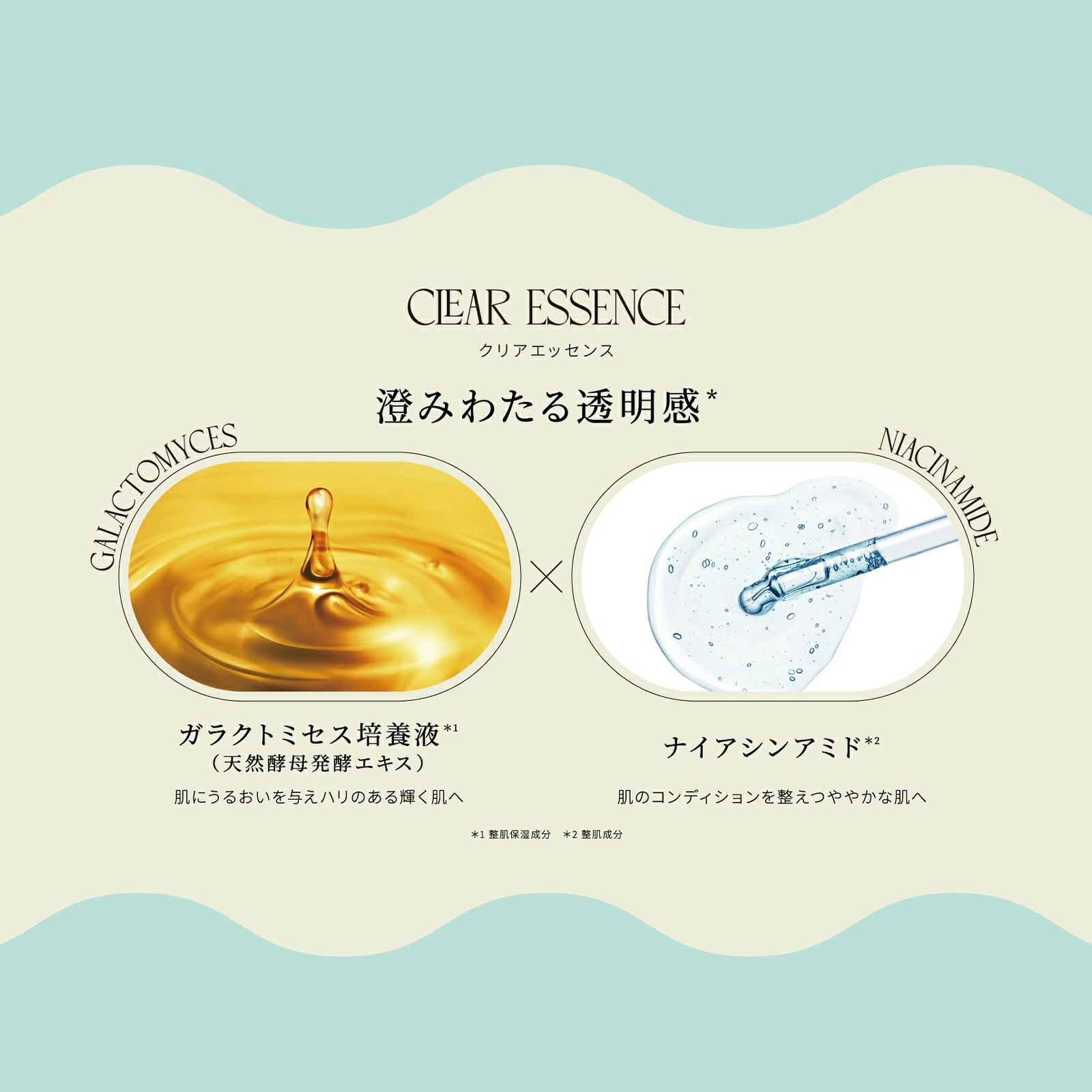 マルマンH&B株式会社｜ピュレア クリアエッセンス エッセンシャルトナー