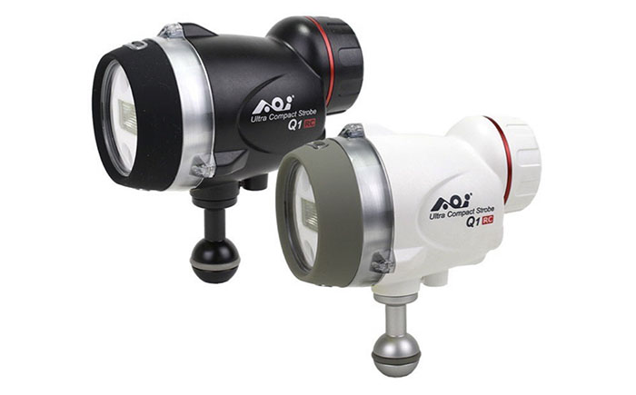 2023最新水中ストロボ｜水中写真｜Marine Diving web（マリン