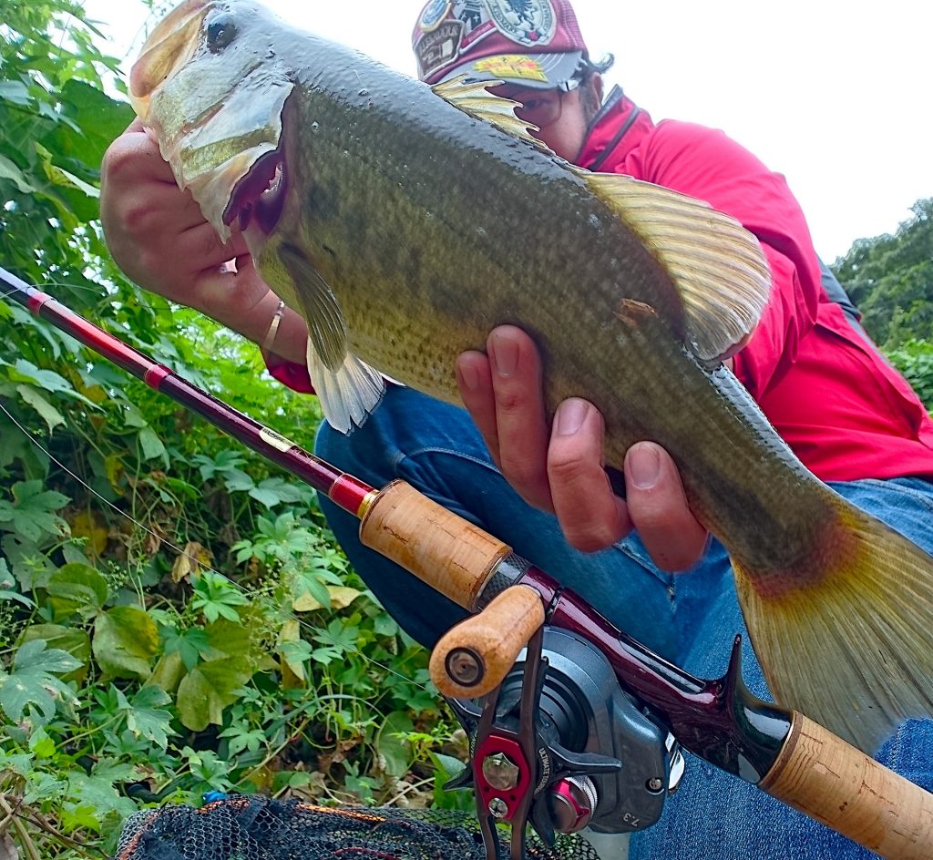 インプレ】1本で全てのルアーを投げられる！？シマノ ワールド