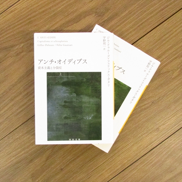 千のプラトー 資本主義と分裂症 （河出文庫3冊セット）