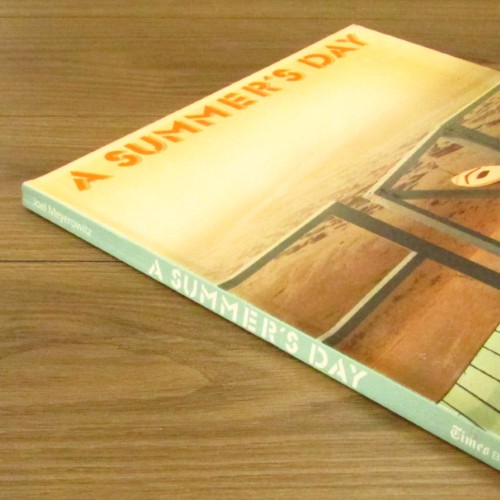 A SUMMER'S DAY / Joel Meyerowitz