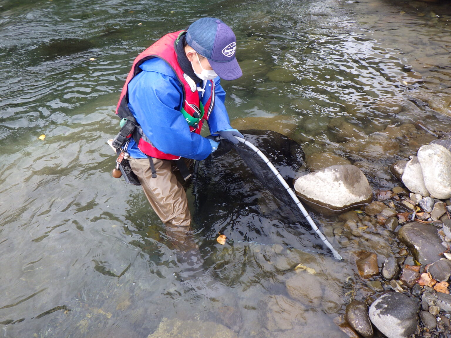 陸水域ベントス - 株式会社日本海洋生物研究所
