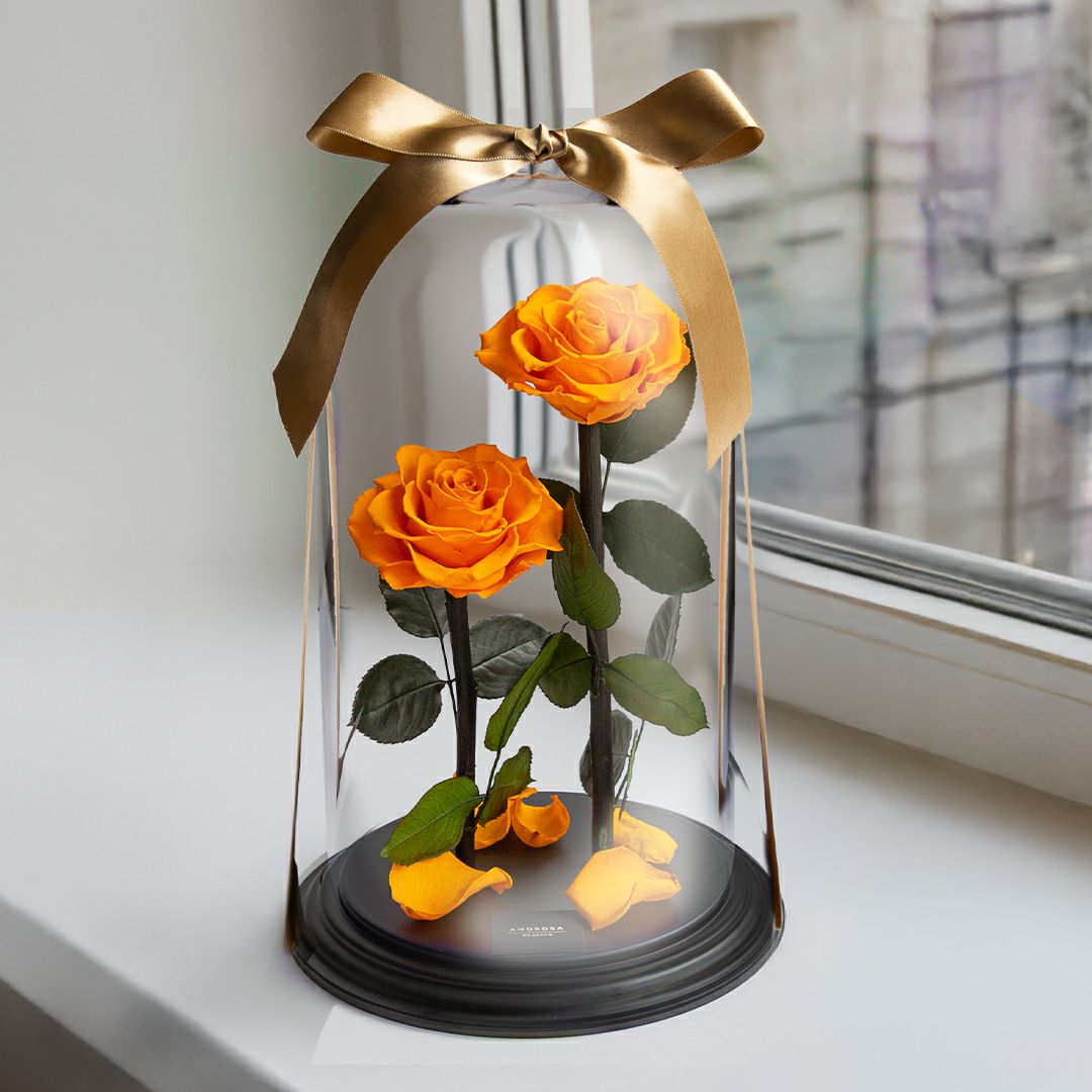 DESTINY ROSE（デスティニーローズ） | 最高級プリザーブドフラワーの