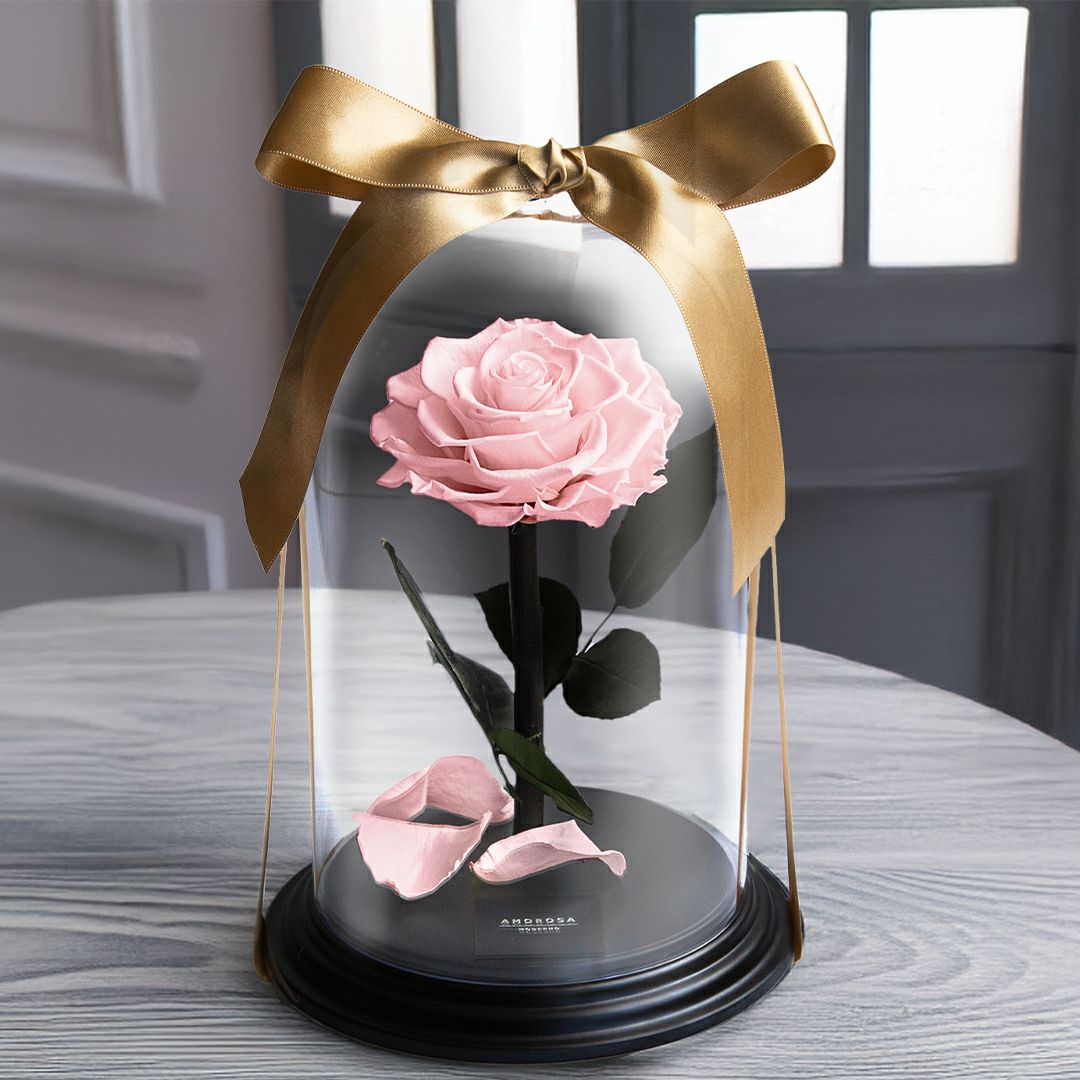 DESTINY ROSE（デスティニーローズ） | 最高級プリザーブドフラワーの