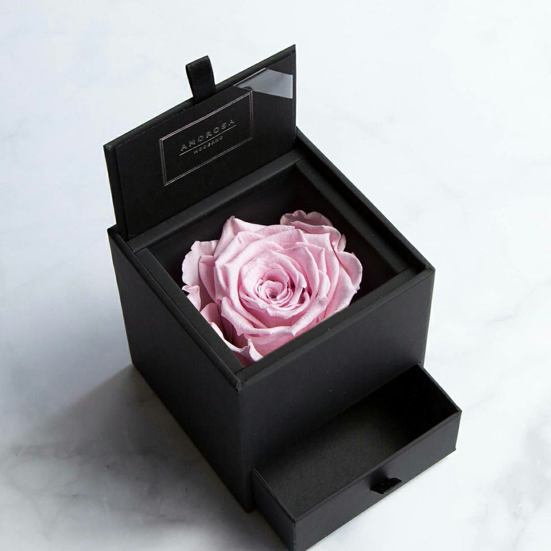 000000000508-01-m.jpg?t=