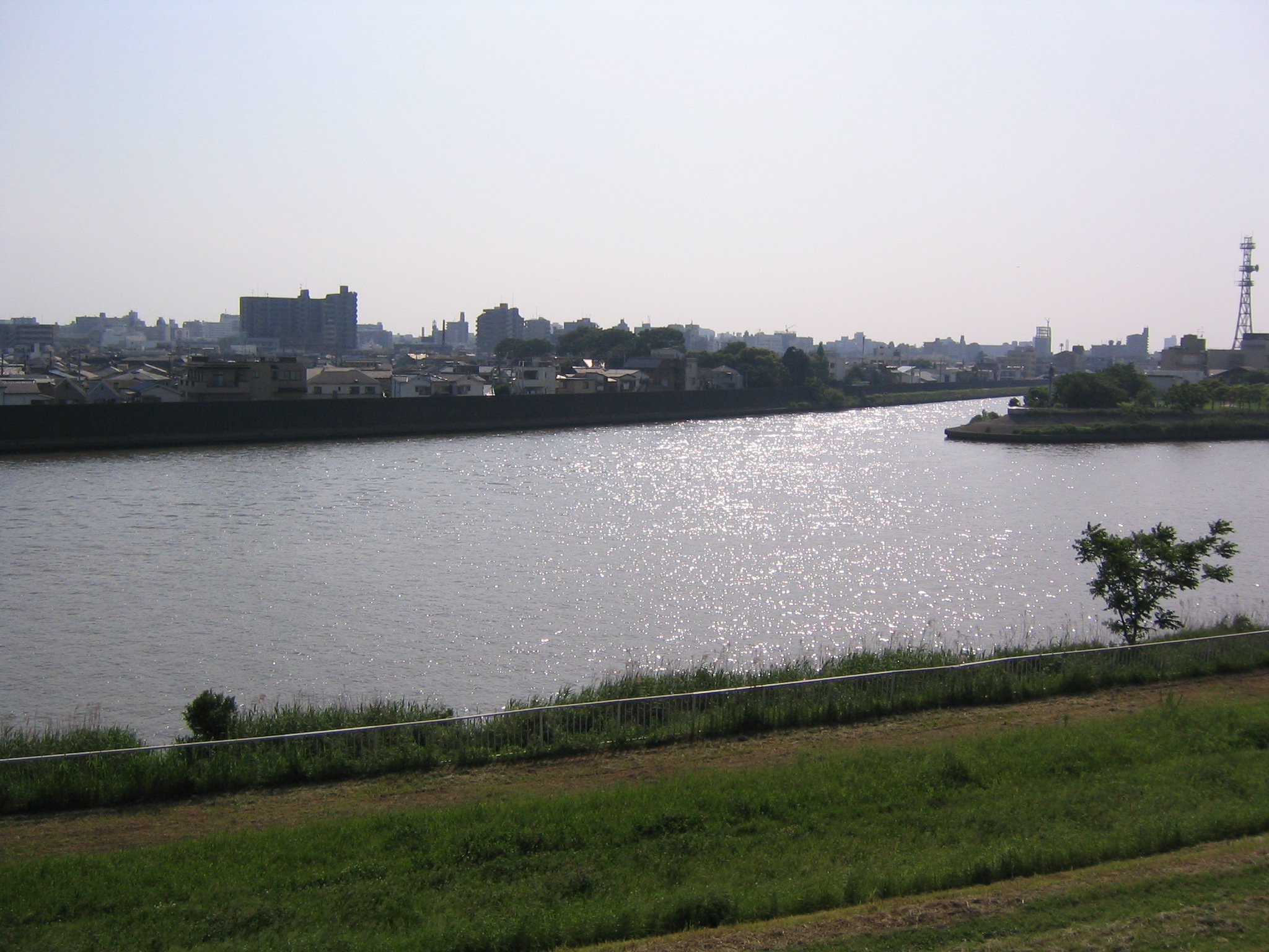 荒川土手散歩 2006/05/21