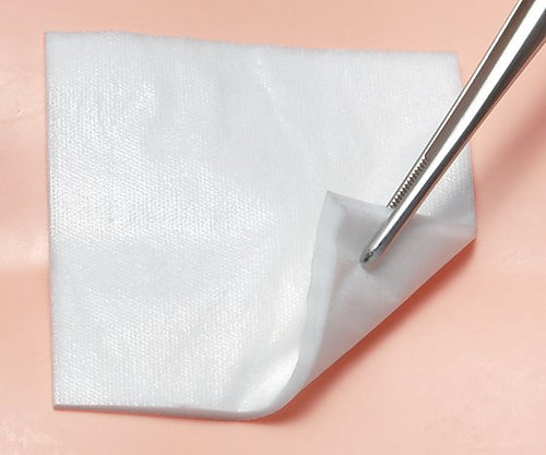 08545901_500x.jpg?v=1652948493