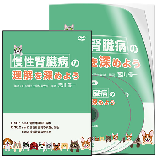 Dr.滝口の腹部エコー読影 エキスパートメソッド | 医療情報研究所 DVD