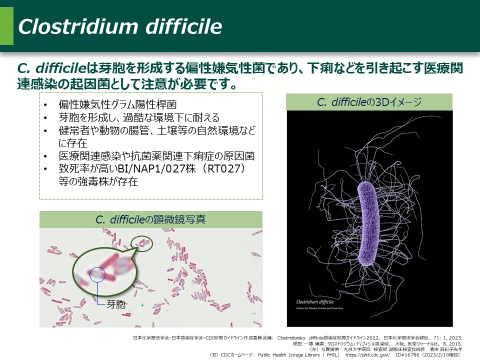 ダフクリア│C.difficile感染症とは│ZERIA Medical Site