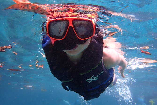 マナティーツアーでクリスタルリバー小グループ水泳 2026