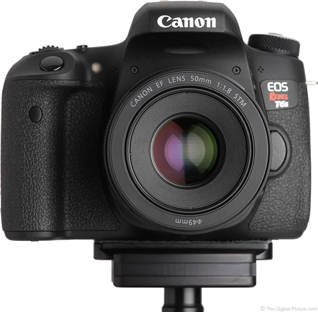 Canon EF 50mm f/1.8 STM Lens Review