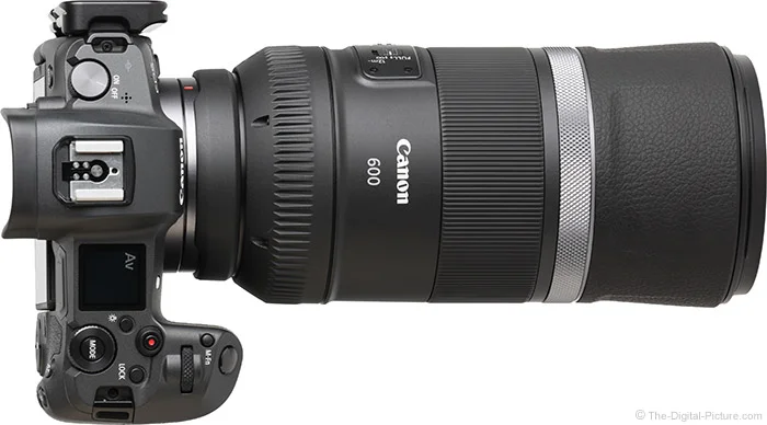 Canon RF 600mm F11 IS STM Lens Review