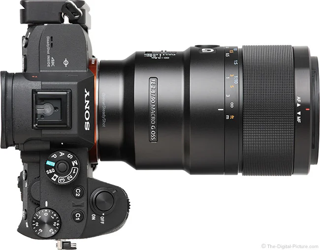 Sony FE 90mm F2.8 Macro G OSS Lens Review