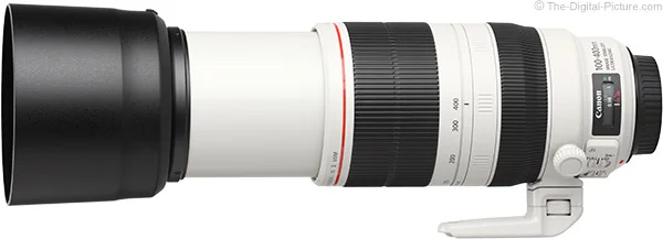 Canon EF 100-400mm f/4.5-5.6L IS II USM Lens Review