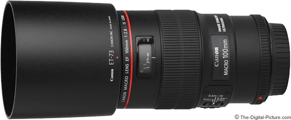 Canon EF 100mm f/2.8L IS USM Macro Lens Review