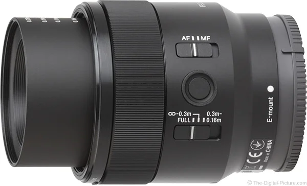 Sony FE 50mm F2.8 Macro Lens Review