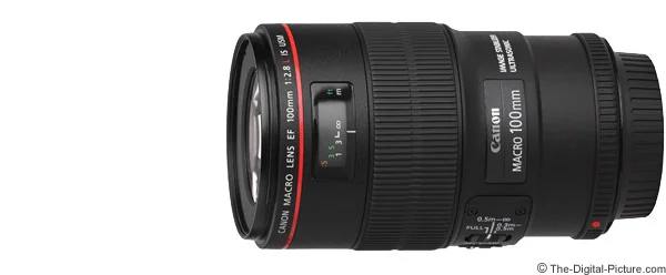 Canon EF 100mm f/2.8L IS USM Macro Lens Review
