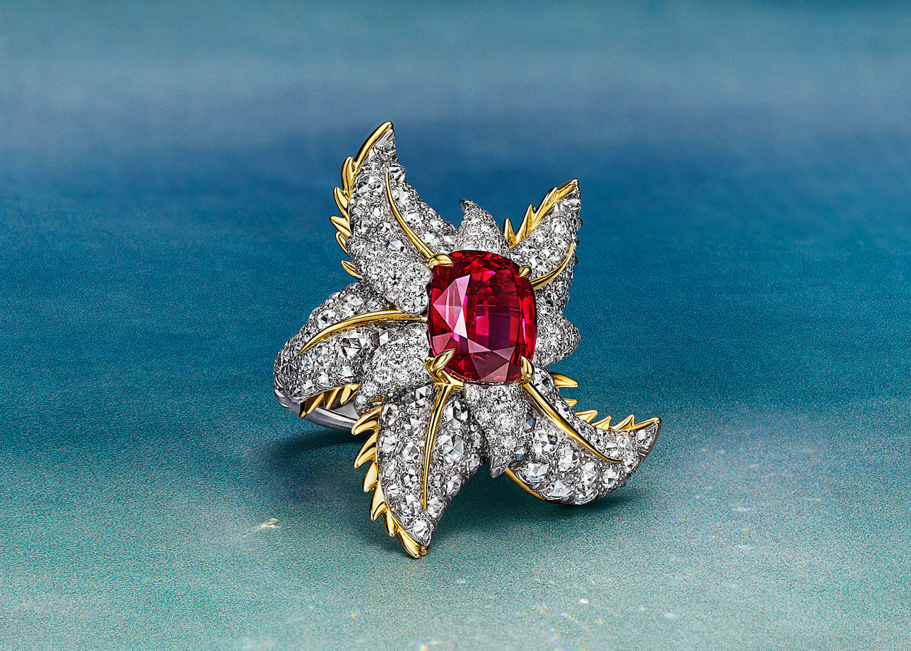 The Starfish Chapter—2025 High Jewelry Collection | Tiffany & Co. US